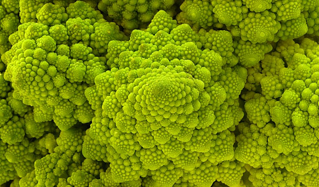 Nature Fractal - Cauliflower