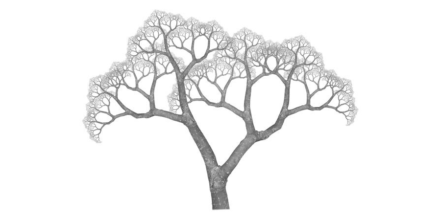 Génération en infographie d'arbre binaire