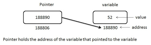 Pointer variable - Memory Address